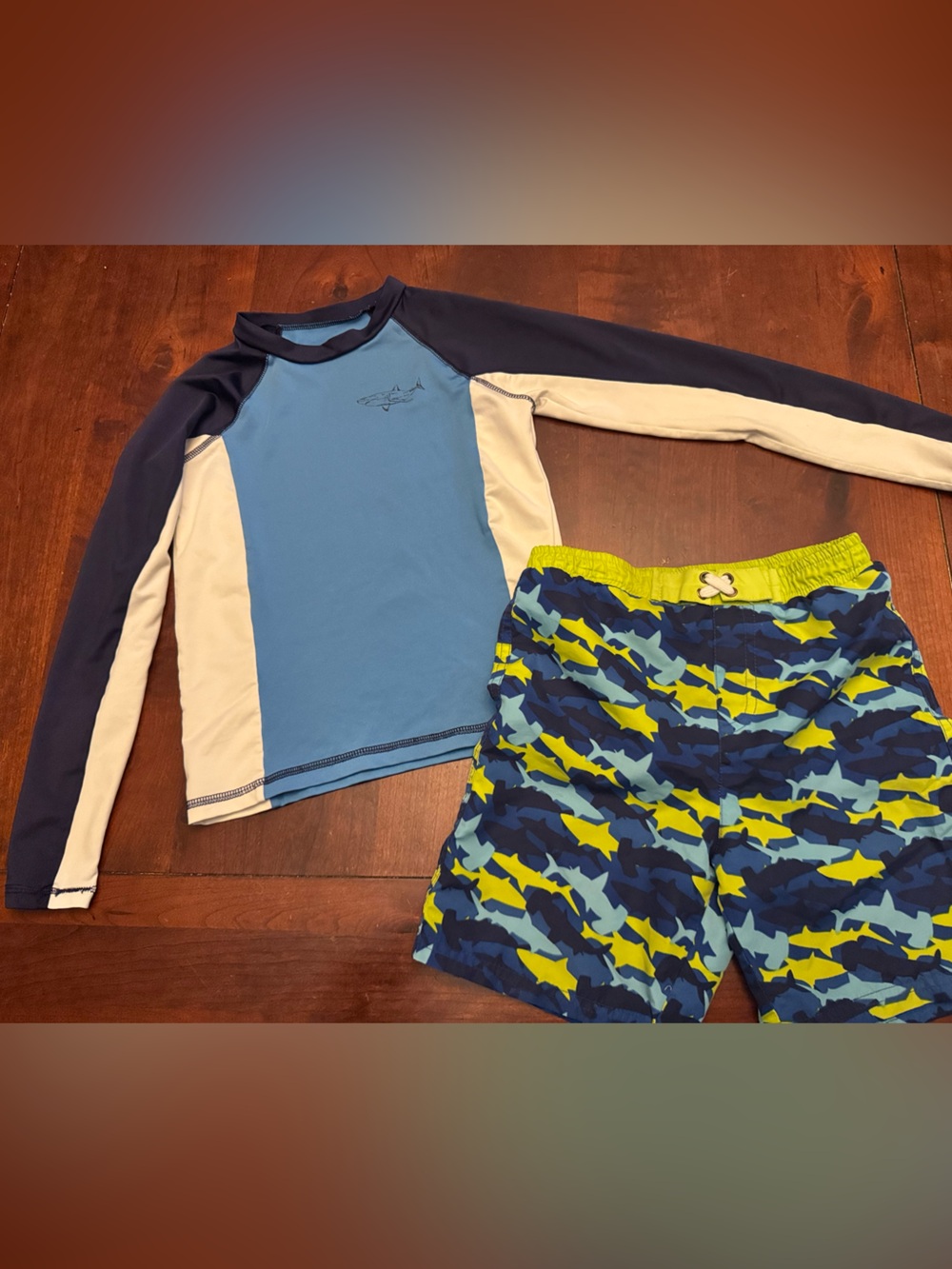 Boys Blue Long Sleeve Rash Guard Set with Shark Print Swim Trunks